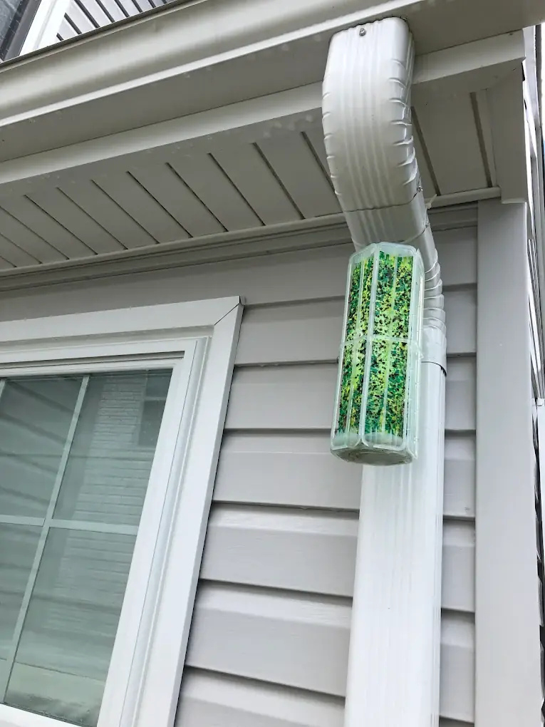 Gutter downspout section full of green algae buildup